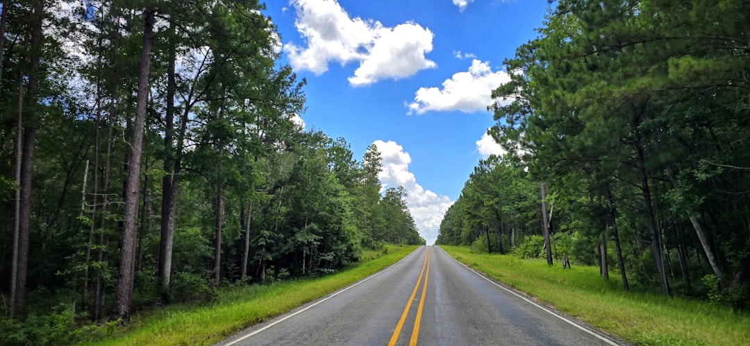 Embracing the Great Outdoors: Budget-Friendly Adventure Travel Tips